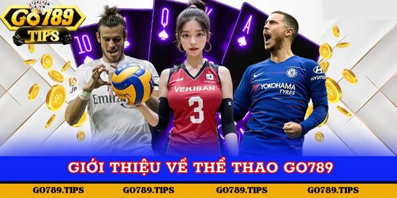 Giới thiệu cơ bản về sảnh game Thể thao Go789