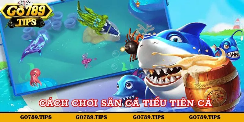 Cách chơi săn cá tiểu tiên cá Go789