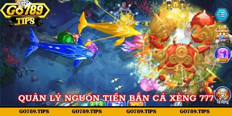 Quản lý nguồn tiền cược sao cho hiệu quả cao