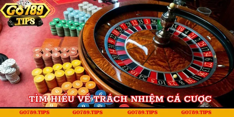 Giới thiệu khái quát về Trách nhiệm cá cược tại Go789